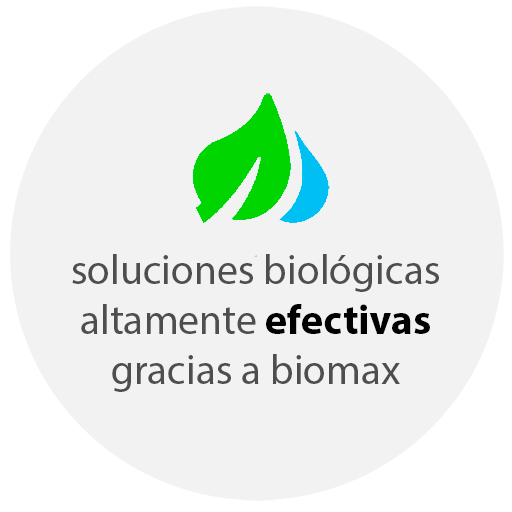 efectivas2